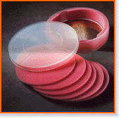 12” Closed Foam Discs 300mm x 3mm Closed Cell Foam